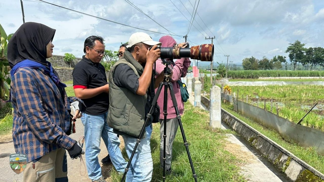 Tulungagung Bird Walk Jilid 2
