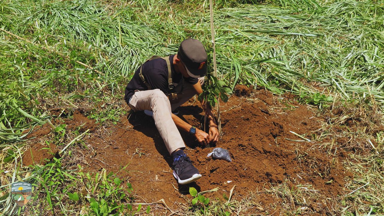 2026, Tahun Untuk Memperbaiki Cara Memandang Alam