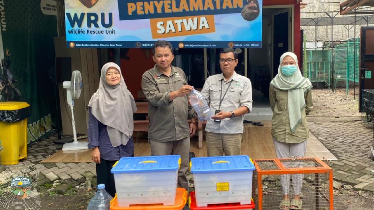 Kolaborasi BBKSDA Jatim, DAMKAR, Dan Masyarakat Selamatkan Satwa di Madiun