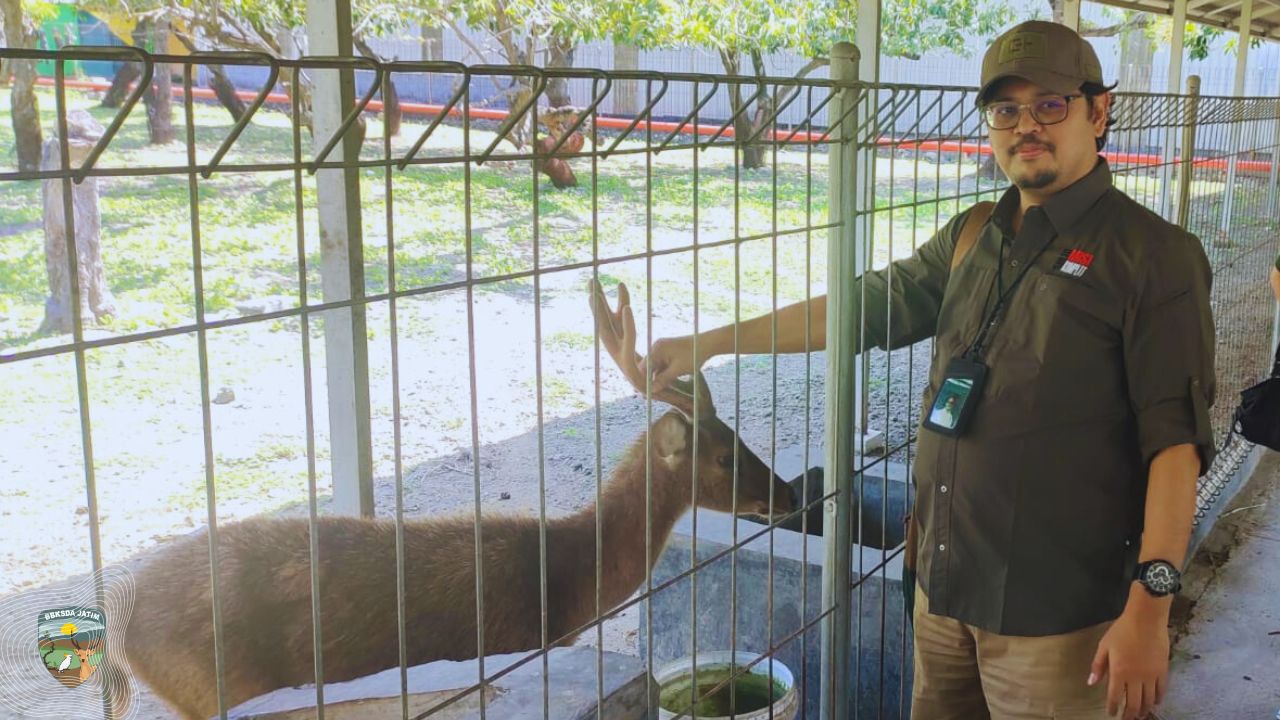 Jalan Panjang Konservasi Mamalia oleh PT. Petrokimia Gresik