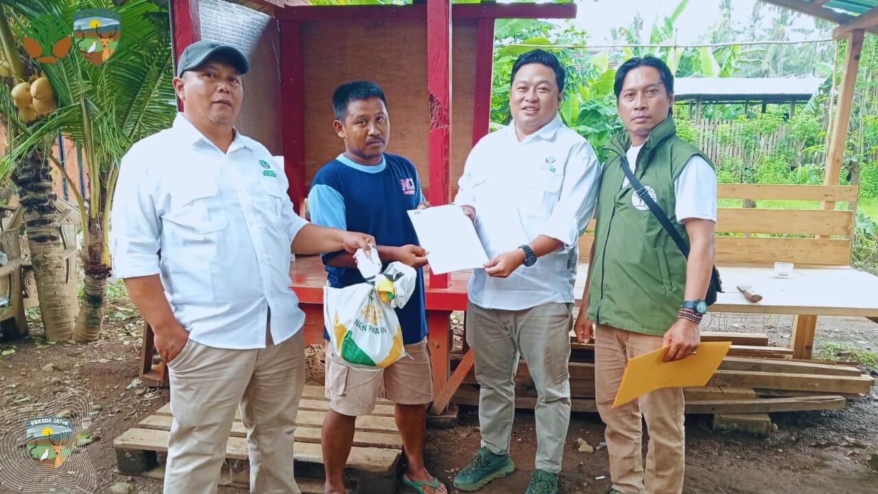 Tim MataWali Banyuwangi Buka Tahun 2026 dengan Penyelamatan Sanca Bodo