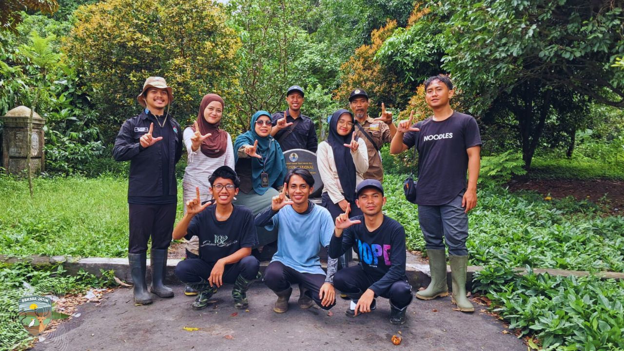 Pasang Jebakan, 8 Mahasiswa UIN Malang Ungkap Kekayaan Manggis Gadungan