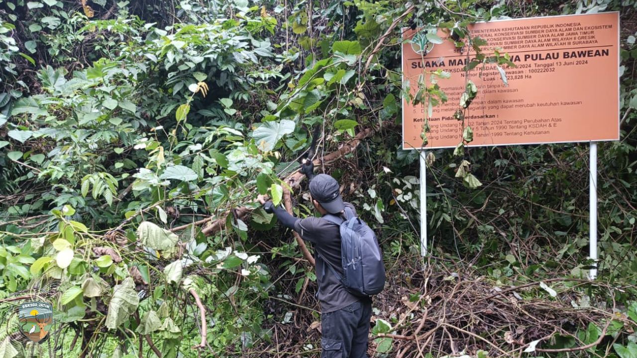 Pemulihan Ekosistem Bawean Dipantau, Tanaman Bertahan, Satwa Mulai Aktif
