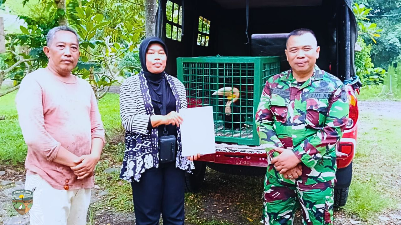 Dua Keputusan Yang Menyelamatkan Dua Satwa