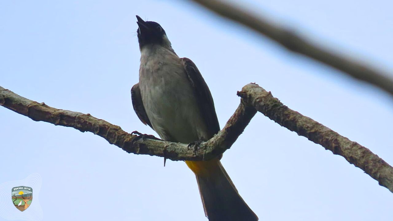Patroli di Cagar Alam Gua Nglirip, Petugas Jumpai Ini !