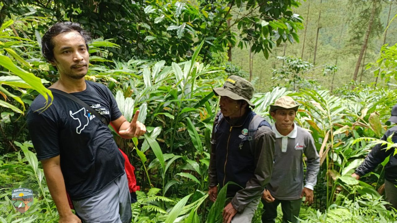 Patroli di Cagar Alam Gunung Picis Blok Hargokiloso, Ini Catatannya