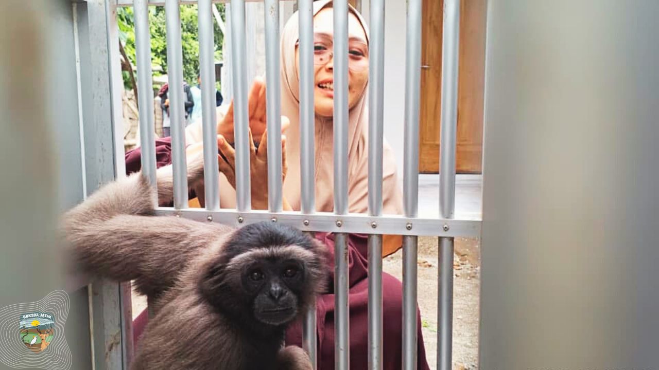 Dua Satwa, Dua Nasib, Satu Tanggung Jawab Konservasi di Jawa Timur