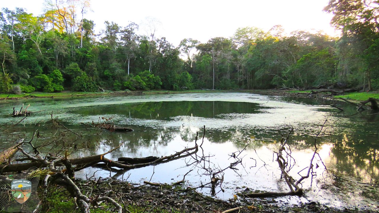 Lahan Basah Jawa Timur, Ruang Hidup Satwa, Sumber Air, dan Warisan Budaya yang Harus Dijaga Bersama