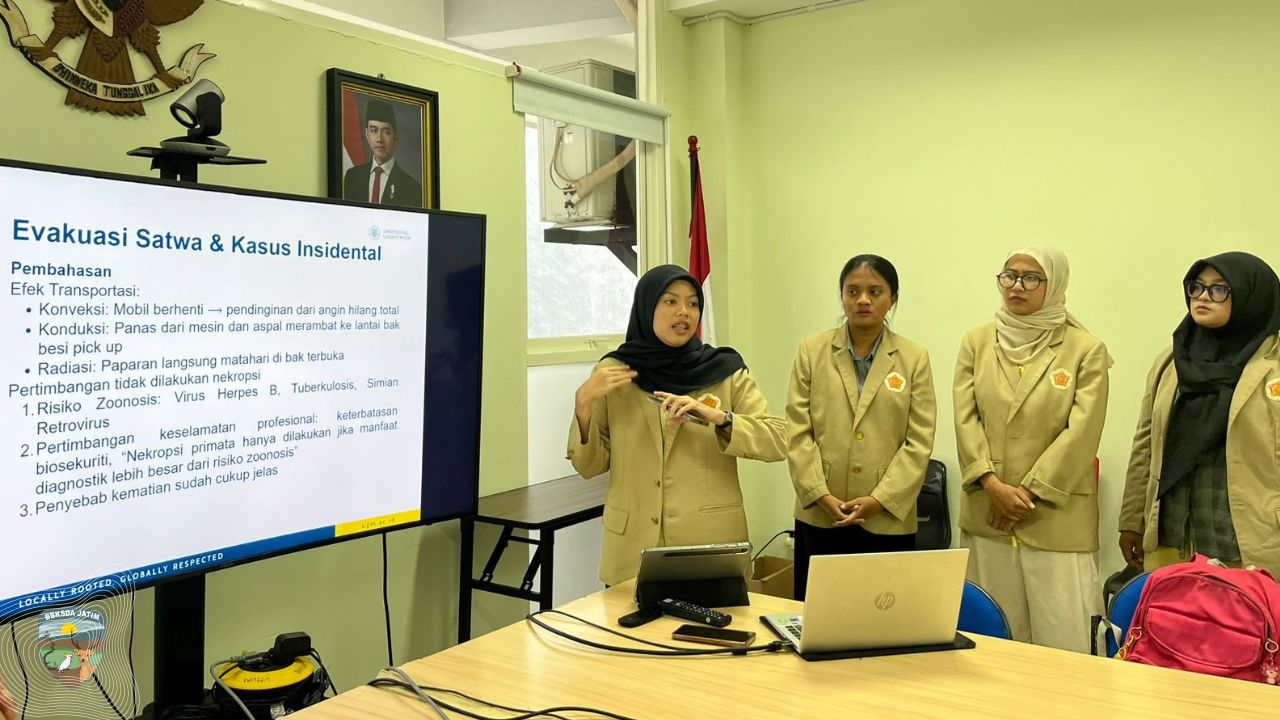 Belajar di Habitat Harapan! Magang Mahasiswa FKH UGM Menghidupkan Ilmu Kedokteran Hewan di Dunia Konservasi