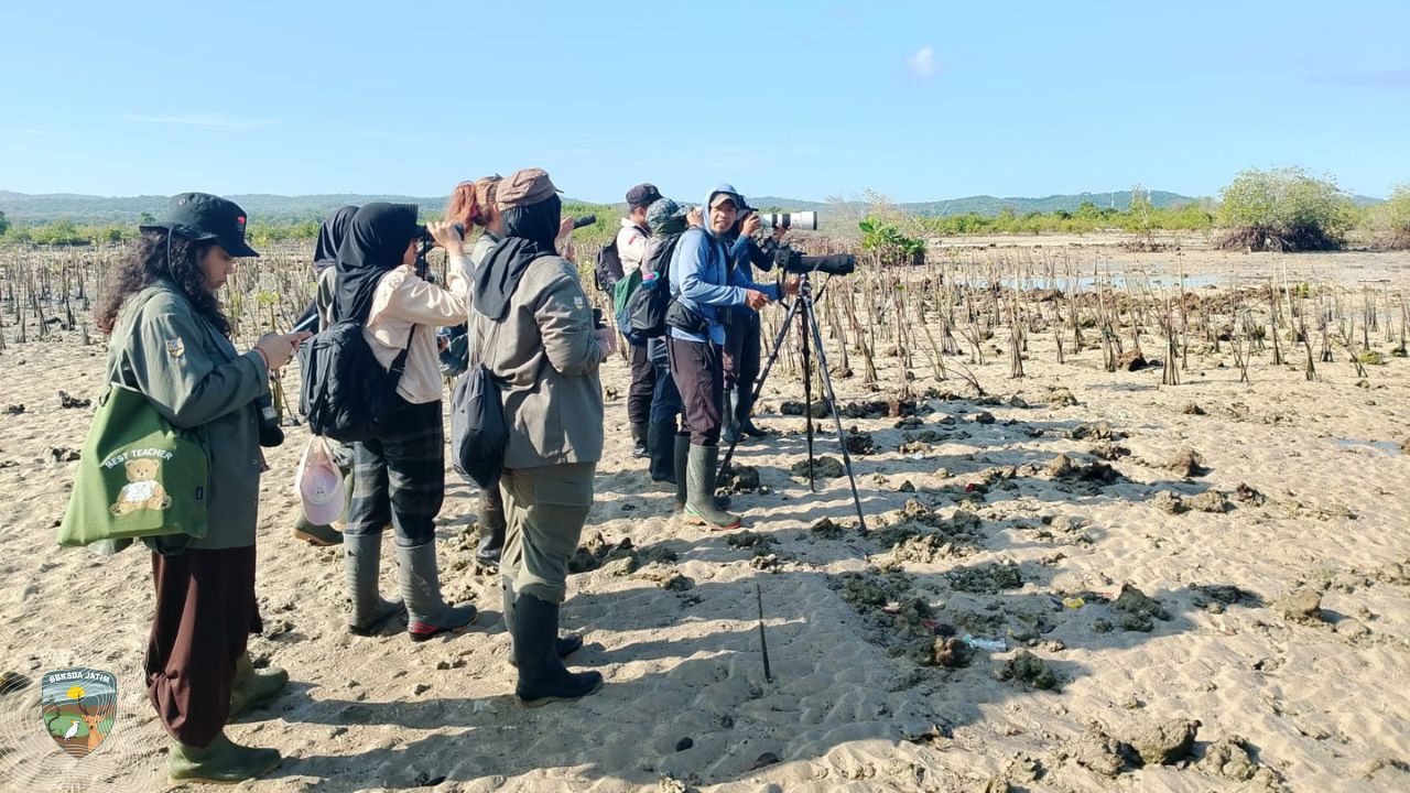 Membaca Denyut Ekosistem Pesisir Lewat Asian Waterbird Census di Bangkalan