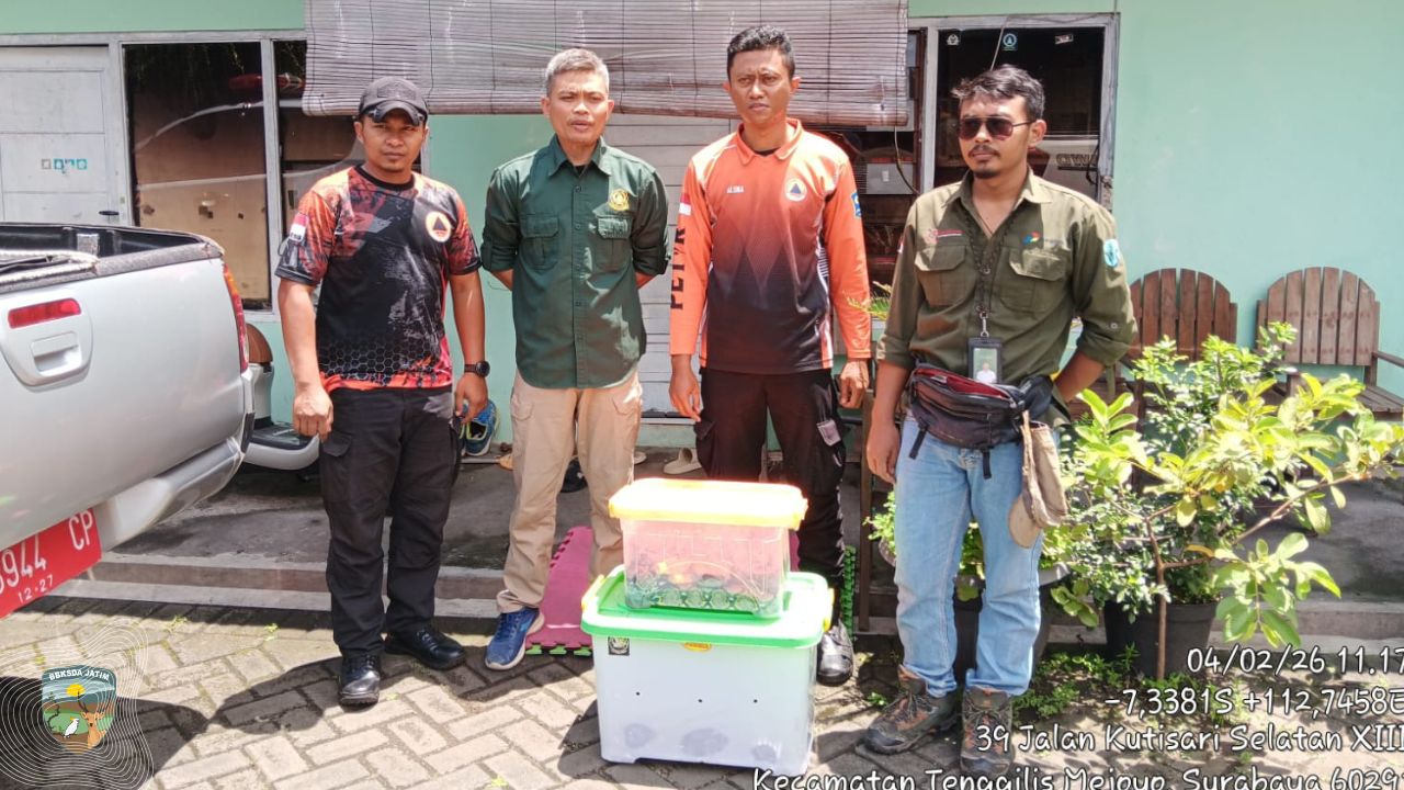 Desis dari Balik Ranjang, Ungkap Wajah Konflik Satwa di Wilayah Urban