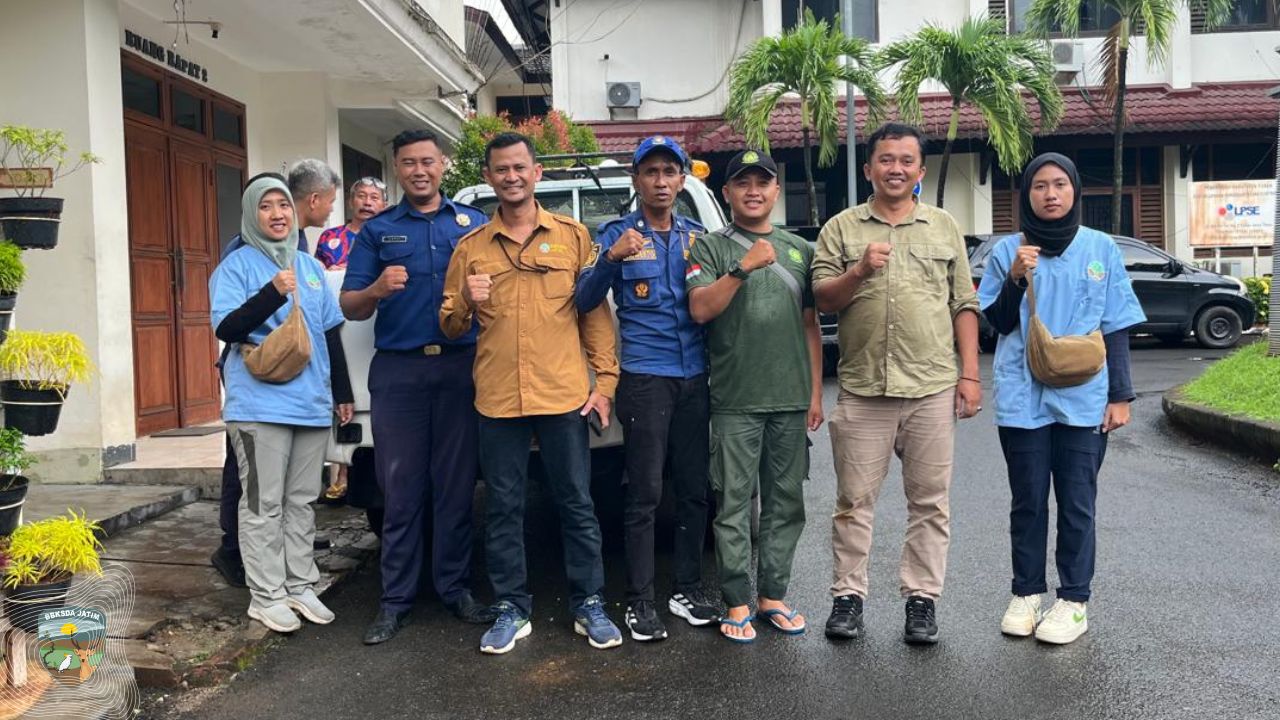 Tim Matawali Evakuasi 18 Ular Sanca, Hasil Penanganan Damkar Tuban