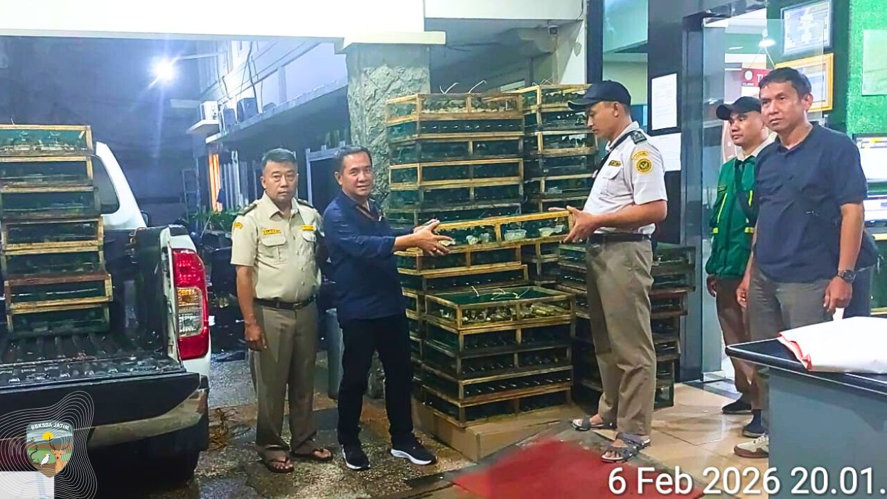 Kembali Ribuan Burung Diamankan, Kali ini di Pelabuhan Sumenep