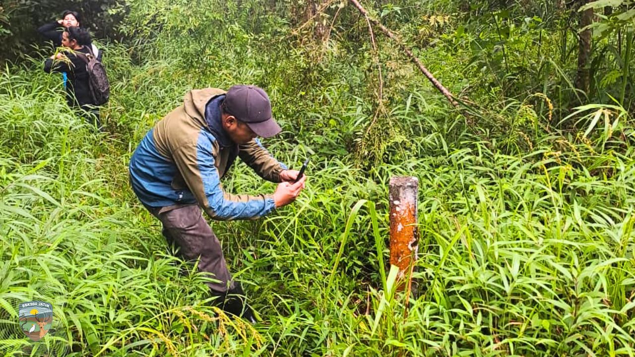 Apa Saja yang Dipantau dalam Patroli Hutan? Catatan SMART Patrol di Cagar Alam Gunung Picis