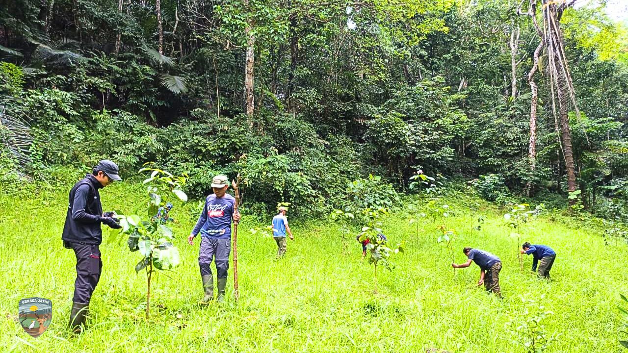 Refleksi Tahun Ketiga Pemulihan Ekosistem di Cagar Alam Pulau Bawean