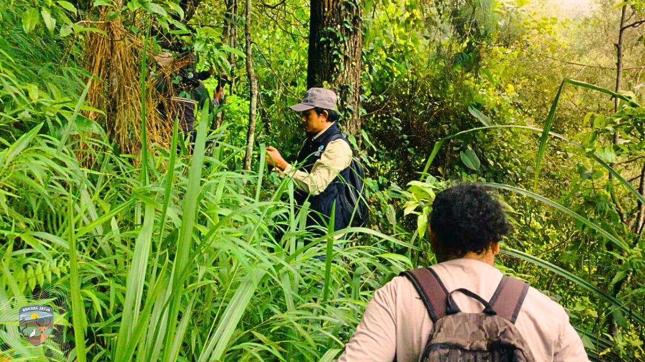 Mahasiswa Biologi Unesa Ikuti Smart Patrol di Cagar Alam Gunung Picis