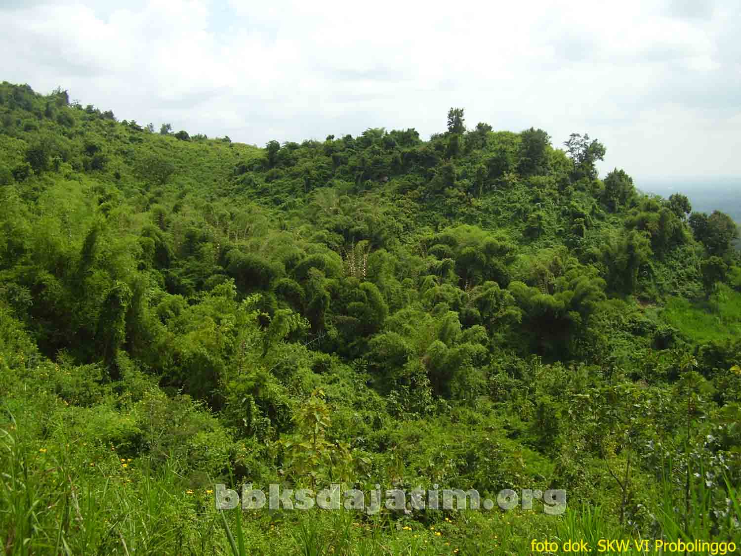 Cagar Alam Gunung Abang