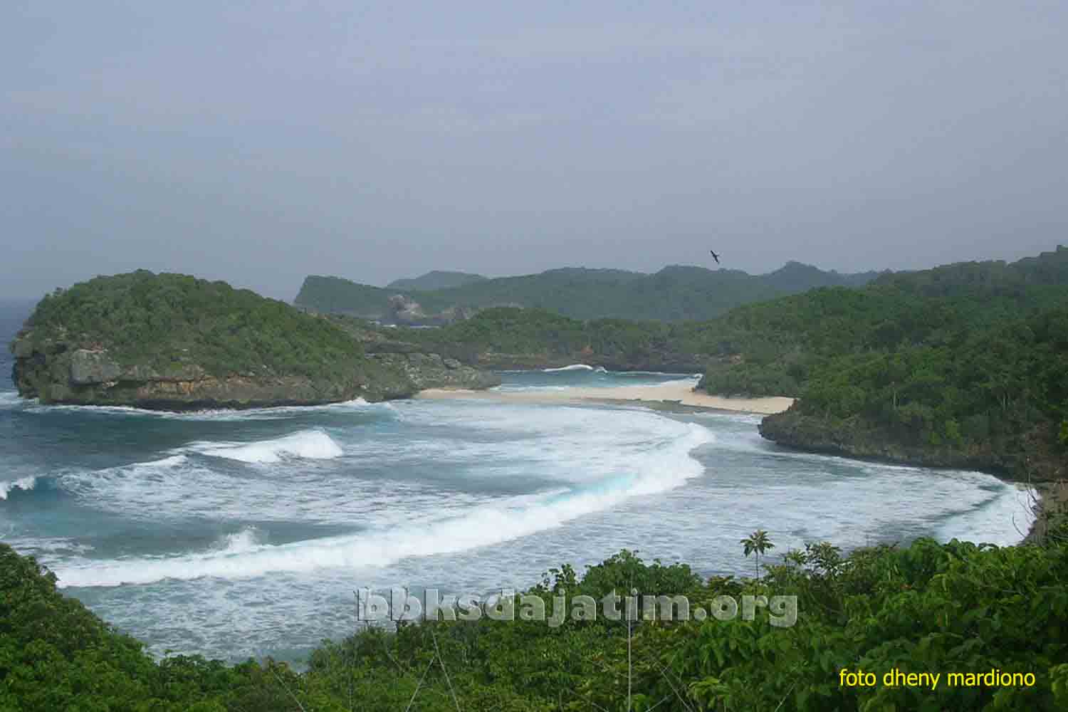 Suaka Margasatwa Pulau Nusa Barung