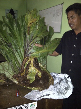 Peredaran TSL Ilegal Berhasil Digagalkan