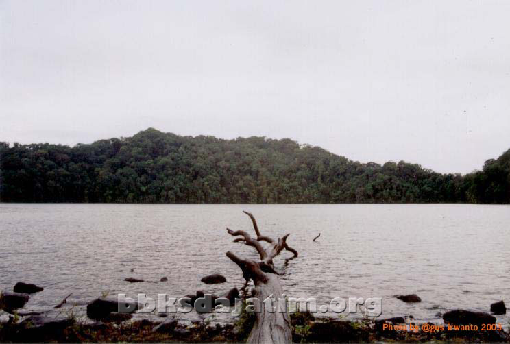 Cagar Alam Pulau Bawean