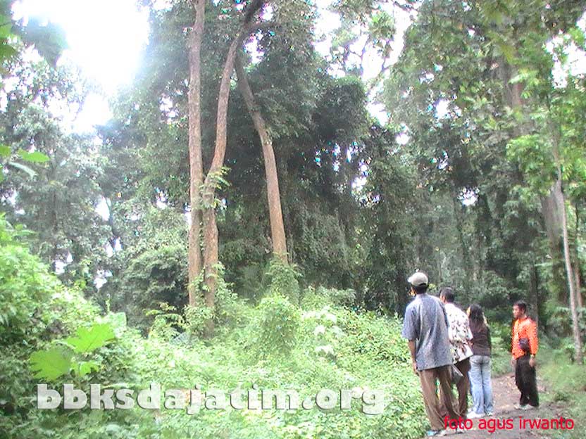 Cagar Alam Besowo Gadungan