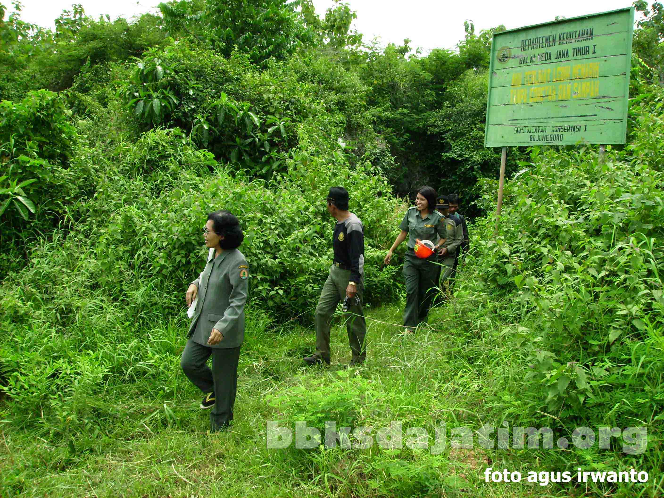 Cagar Alam Gua Nglirip