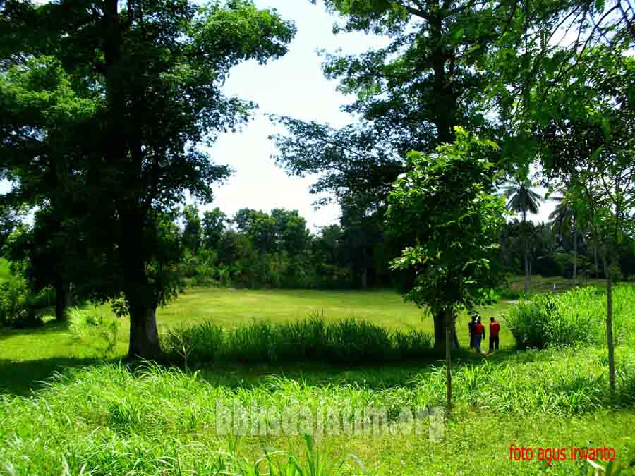 Cagar Alam Janggangan Rogojampi I dan II