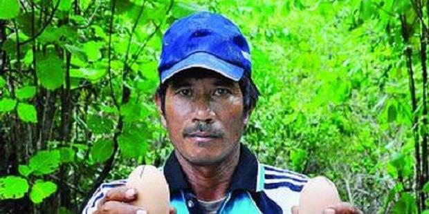 Daud Badu, Dari Pemburu Jadi Pelestari Maleo