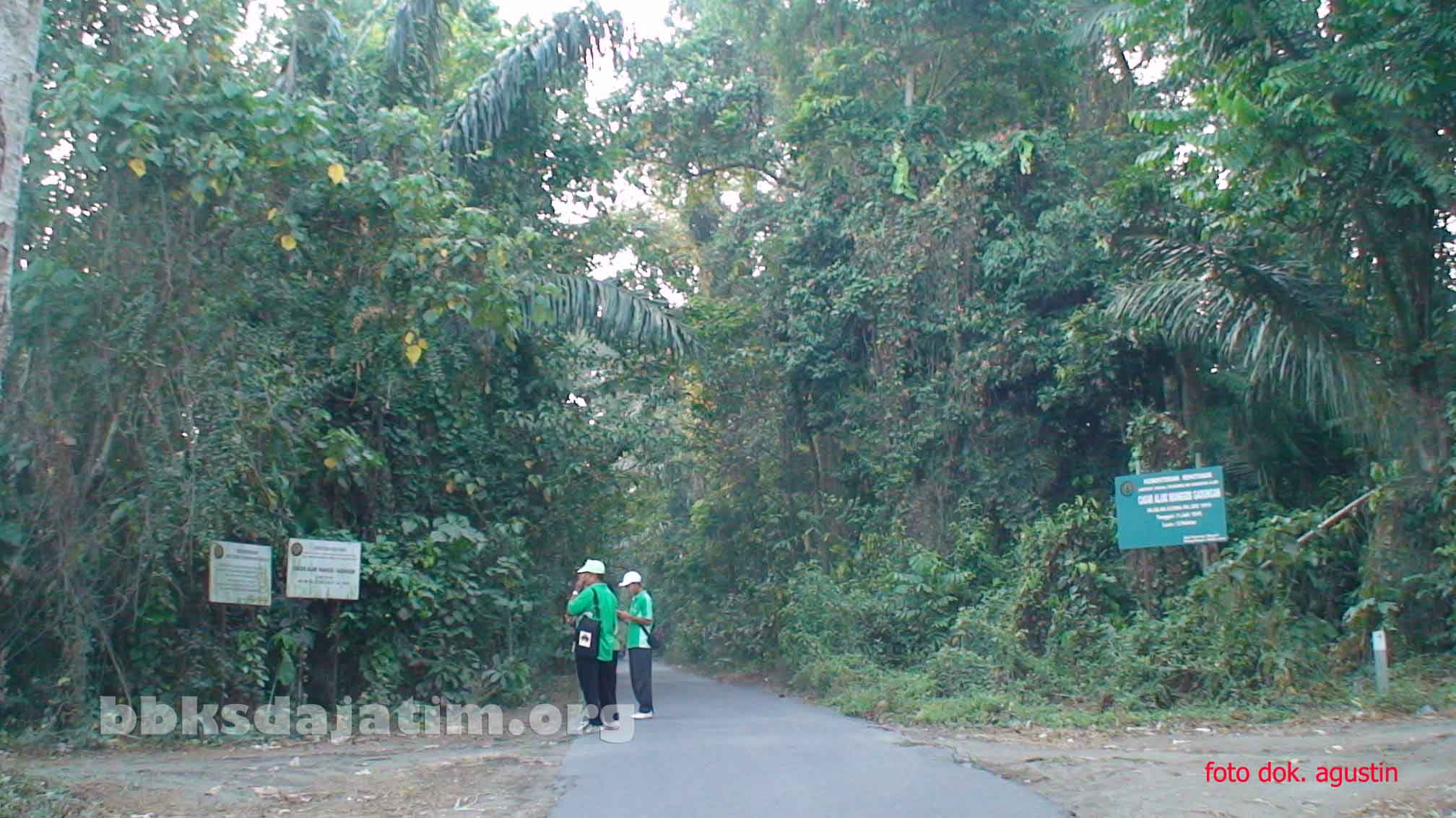 Cagar Alam Manggis Gadungan